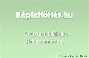 404.gif